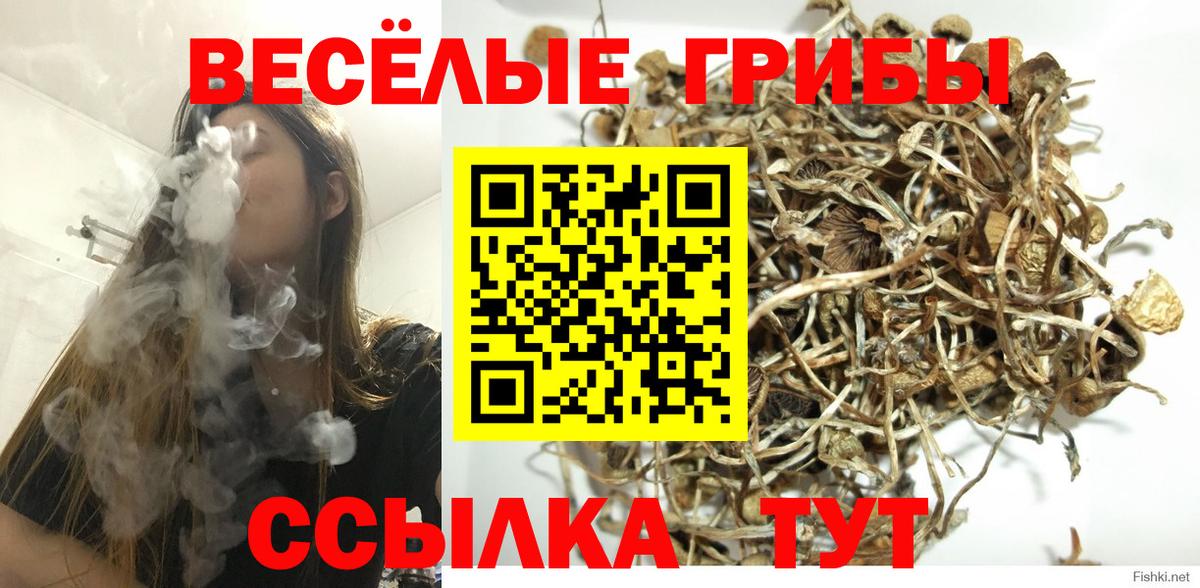 Псилоцибиновые грибы GOLDEN TEACHER  Галлюциногенные грибы Psilocybine cubensis  Вход с VPN  Ивантеевка 